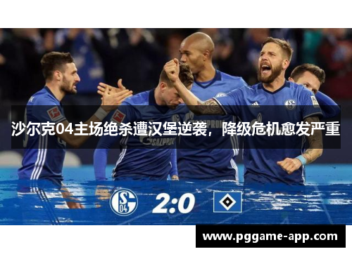 沙尔克04主场绝杀遭汉堡逆袭，降级危机愈发严重